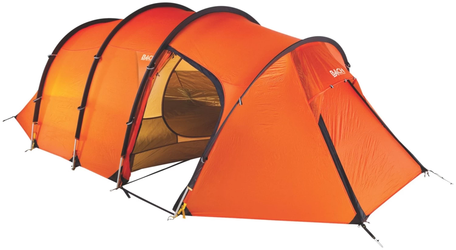 Bach Spix 3 Burnt Orange