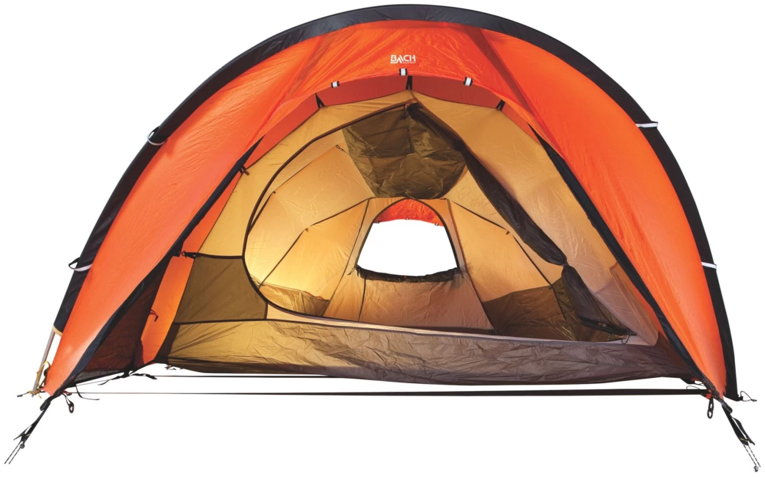 Bach Spix 3 Burnt Orange – Bild 5